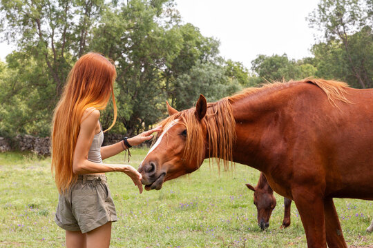 Girl caressing muzzle of horse in countryside