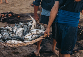 Unrecognizable barefoot fishermen waking with basketful of fishes on beach