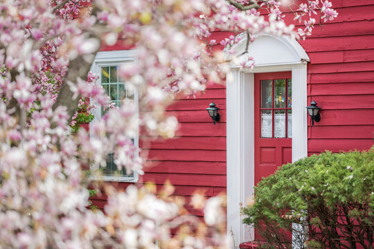 Red wooden house with autumn flowers in daylight