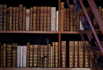 Vienna, Austria, October 2023: Old bookcase with the leather-bound book covers in State Hall of Austrian National Library