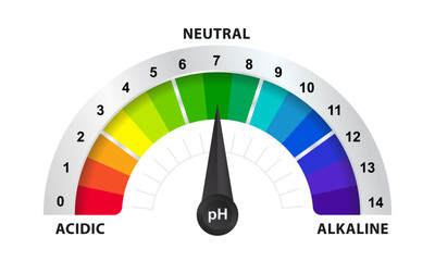 pH value scale chart for acid and alkaline solutions, acid-base balance infographic. Concept of healthy eating. Vector illustration - obrazy, fototapety, plakaty