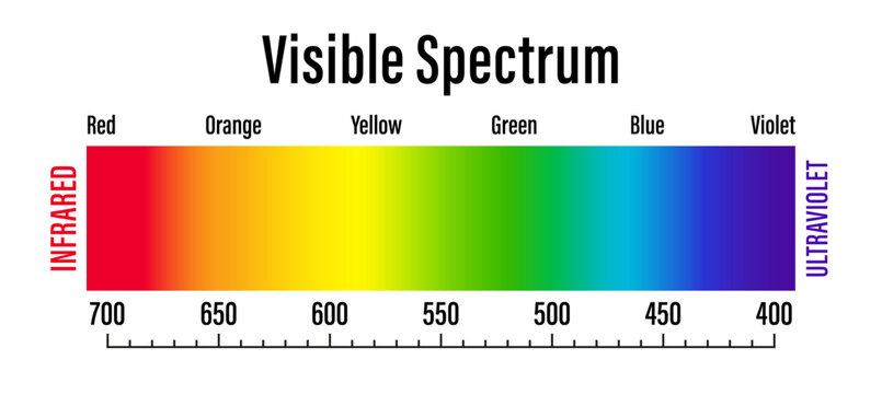 Visible light spectrum. Electromagnetic visible color spectrum for human eye. Vector gradient diagram with wavelength and colors. Infrared and ultraviolet. Vector illustration