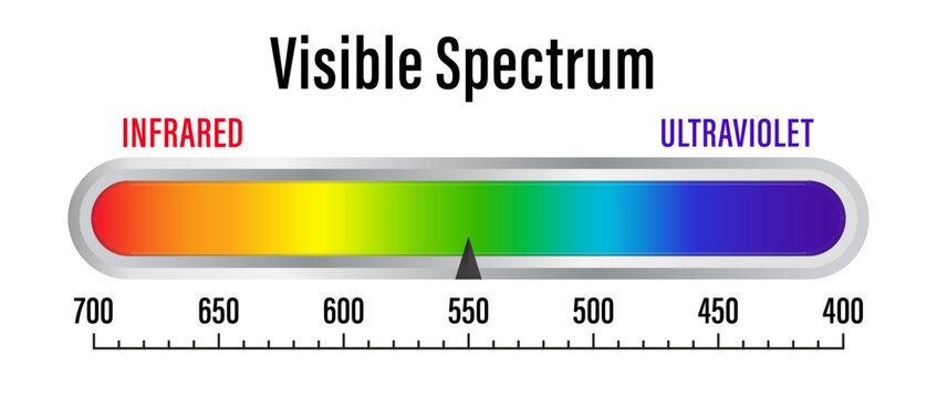 Visible light spectrum. Electromagnetic visible color spectrum for human eye. Vector gradient diagram with wavelength and colors. Infrared and ultraviolet. Vector illustration