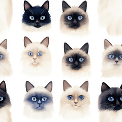 Ragdoll cats breed cute cartoon repeat pattern