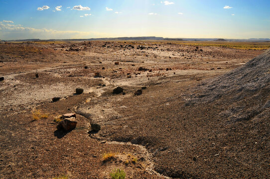 Rugged and Desolate Landscape Petrified Forest Arizona