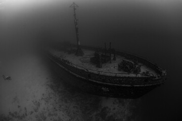 huge wreck and tiny divers, black and white