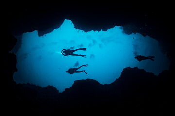 divers from below