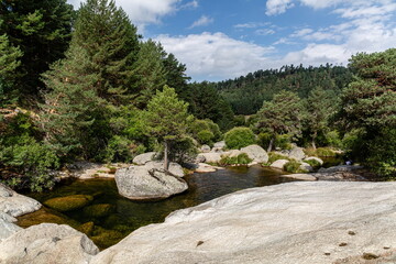 Fototapeta na wymiar Landscape in Las Chorreras del Tormes, with the pine forests in the background. Tormes River, Sierra de Gredos, Hoyos del Espino, Ávila, Spain.