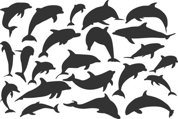 set of dolphin silhouette