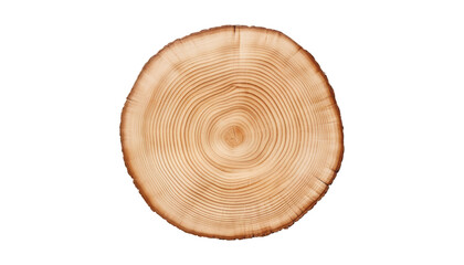 cut tree trunk isolated on transparent background cutout
