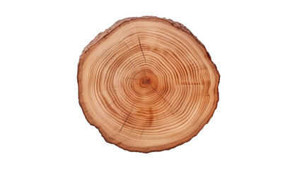 cut of tree isolated on transparent background cutout