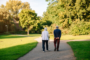 pensioners walking in the park. sunny day, autumn season.