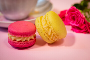 Delicious french macaroon dessert close-up