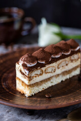 Italian dessert tiramisu close-up. Low key,