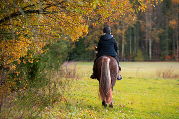 Woman horseback riding in autumn