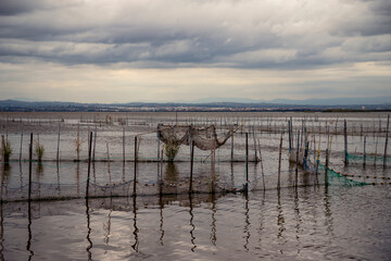 beautiful landscape of the Albufera on a cloudy day