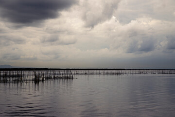 beautiful landscape of the Albufera on a cloudy day