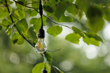 Light bulb on a green blurry background. The light bulb symbolizes the a new idea. Cool wallpaper,...
