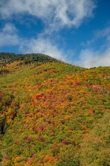 blue ridge parkway wnc