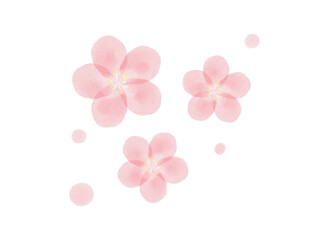 水彩のシンプルな梅の花