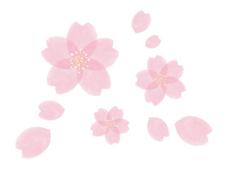 水彩の桜イラスト