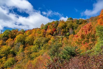 blue ridge parkway