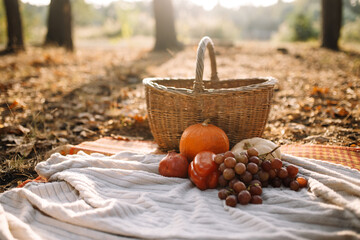 Autumn mood. Wicker basket with autumn harvest on a picnic in the forest. Pumpkins, red pepper, grapes.