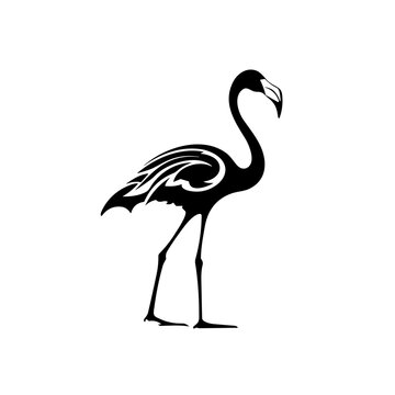 recommend clip art: flamingo silhouette isolated on white