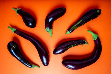 Aubergine on a coloured background