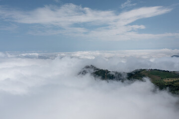 Aerial Photography of Pine Tree Forest and Cloud