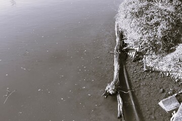 &eacute;paves automnales