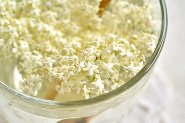 Closeup of fresh elderberry flowers in a glass of lemonade
