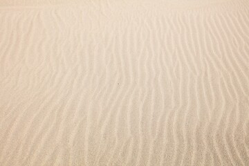 Fototapeta na wymiar Closeup of sand dune abstract texture.
