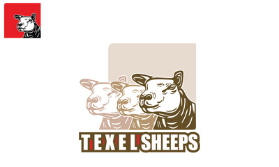 TEXEL SHEEP BEST BREEDING RAM LOGO, silhouette of great face of texel pet vector illustrations. 