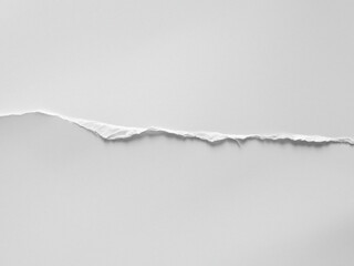 paper ripped in a grey background