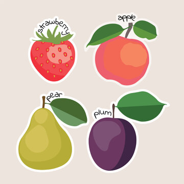 Fruit sticker set. Strawberry, apple, pear and plum with name isolated on light background. Colorful cartoon design clip art vector illustration.