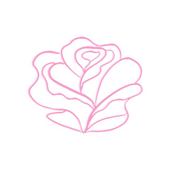 Abstract Pink Rose Chrome Shape