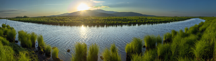 Aerial locals sanjiang wetland