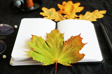 Open notepad with pen, glasses and dry leaves on dark background
