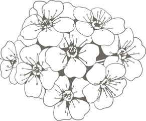 Flower illustration vector art design. Floral hand drawing nature decor. Vinatage garden sketch.