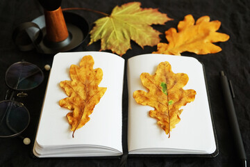 Open notepad with pen, glasses and dry leaves on dark background