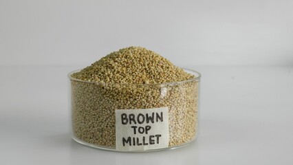 Closeup of browntop millet grains in a glass bowl - obrazy, fototapety, plakaty