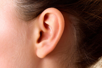 Cropped detail close up photo of the head. female human ear without accessory and hair. Skincare...