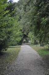 Fototapeta na wymiar Nature path in the park