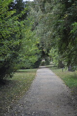 Fototapeta na wymiar Nature path in the park