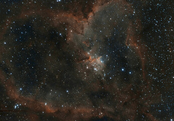 Heart Nebula 
