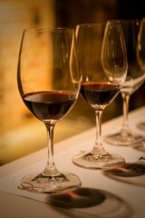 a row of wine glasses with different shades on the side