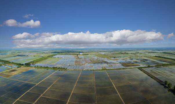 Aerial heilongjiang frequently benefit paddy fields
