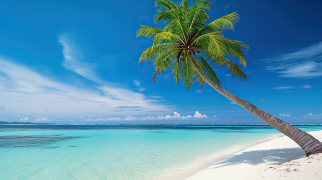 Beautiful palm tree on a tropical island. Turquoise ocean and blue sky. Amazing summer vacation