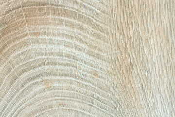 Fototapeta premium old wood texture vintage wood lines